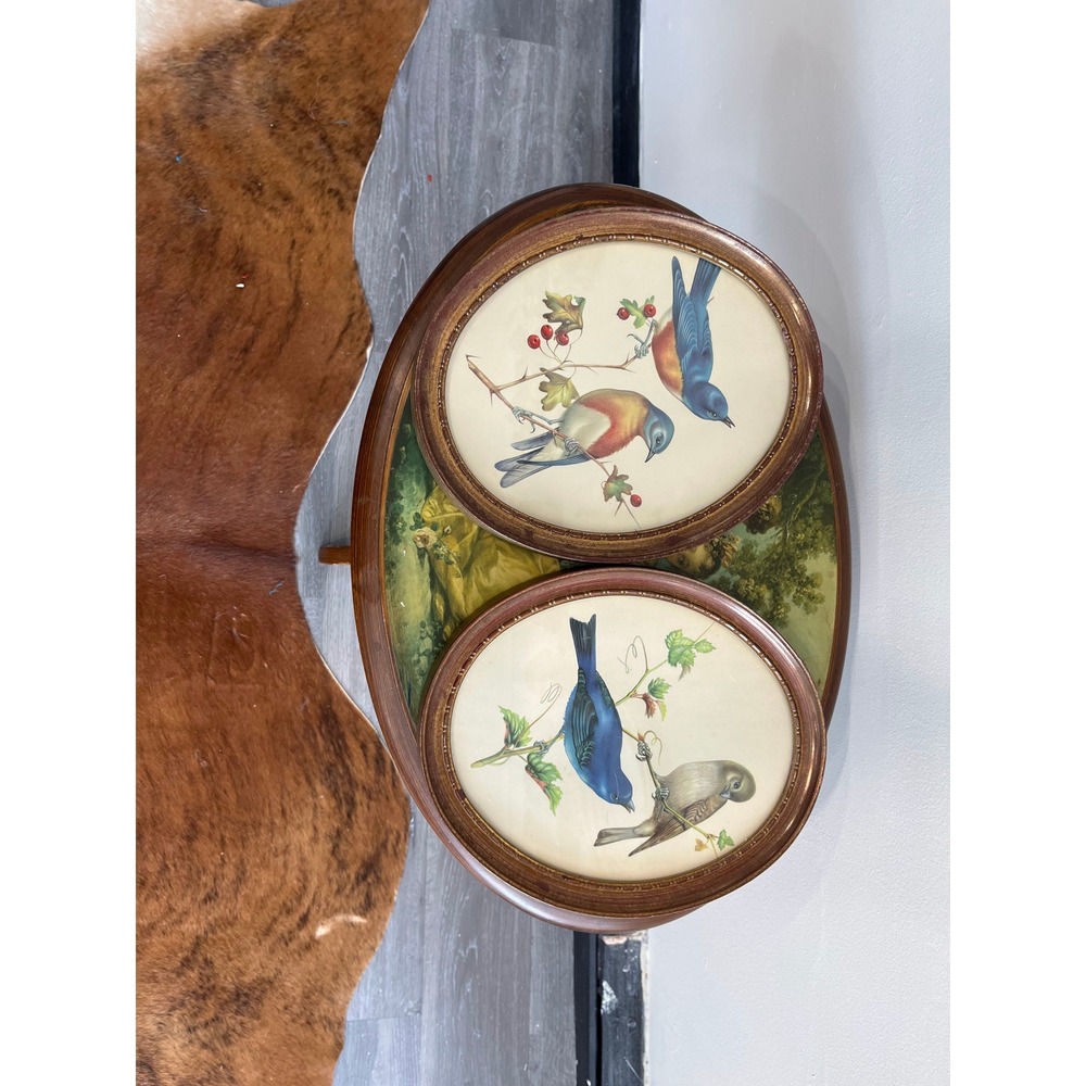 Vintage Truart Bird Lithograph Set - Oval Wood Frames - Mid Century